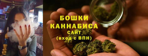 прущие грибы Беломорск