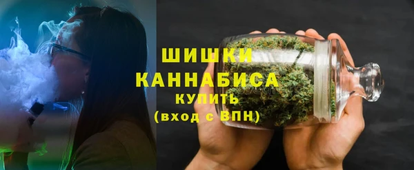 прущие грибы Беломорск