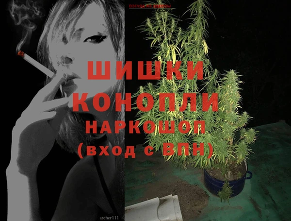 ешки Белокуриха