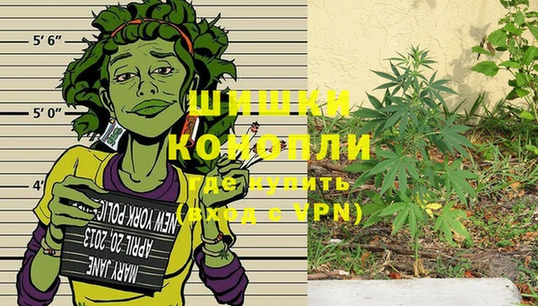 прущие грибы Беломорск