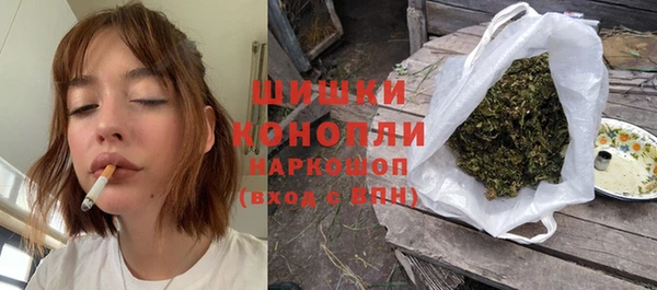 прущие грибы Беломорск