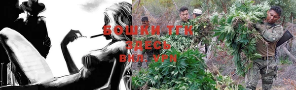 ешки Белокуриха